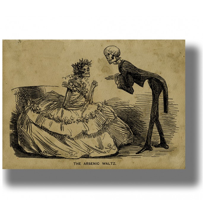 Victorian macabre illustration of two skeletons dressed as a lady and a gentleman.