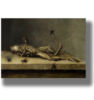 Dead frog with flies on a wooden ledge, dark baroque still life reproduction.