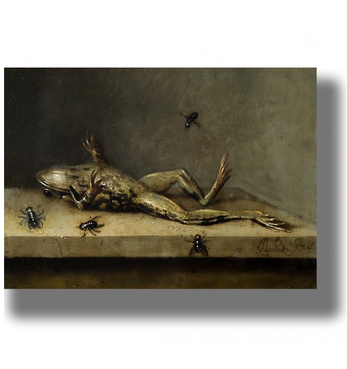 Dead frog with flies on a wooden ledge, dark baroque still life reproduction.