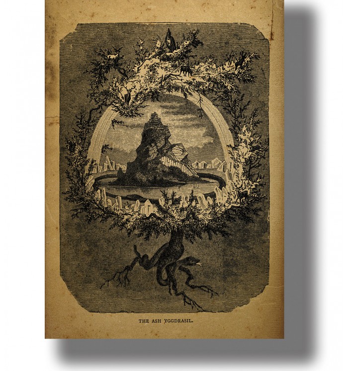 Yggdrasil, the Norse world tree, shown in an old symbolic illustration on aged paper.