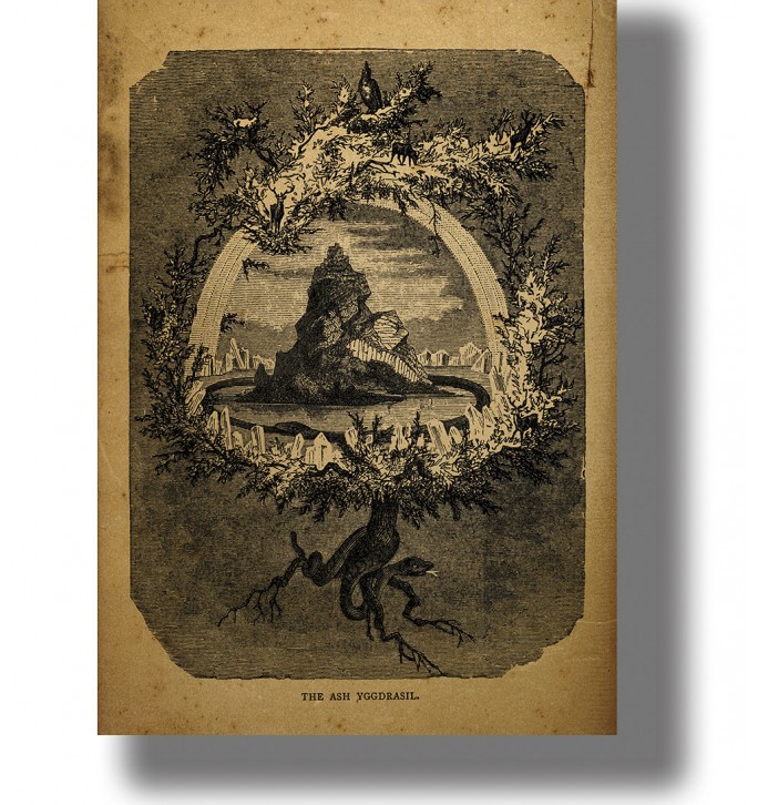 Yggdrasil, the Norse world tree, shown in an old symbolic illustration on aged paper.