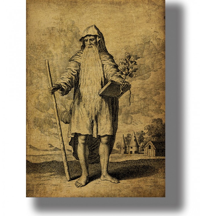 Antique illustration the Chief Druid.
