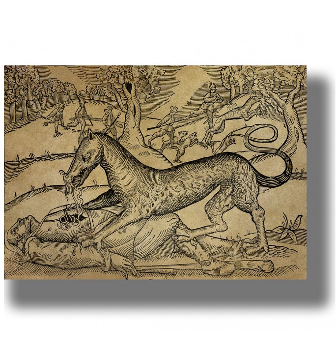 Vintage engraving-style illustration of the Beast of Gévaudan attacking a person in a forest scene.