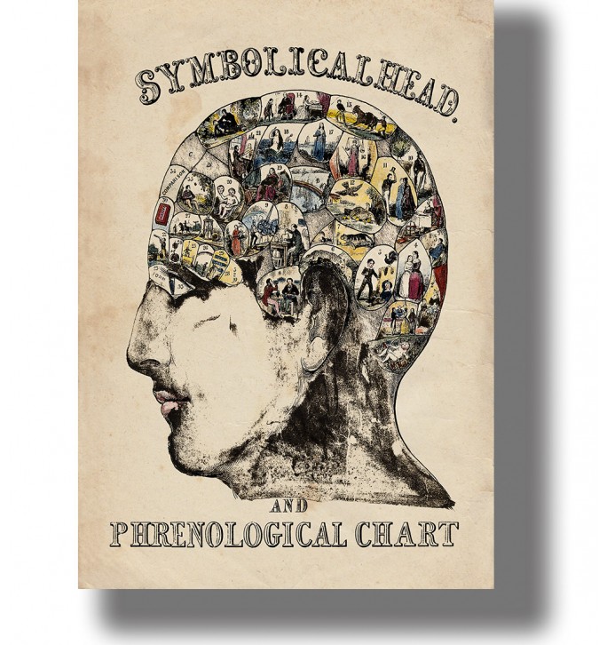 Vintage phrenology chart showing a human head divided into numbered sections with small symbolic scenes inside the skull.