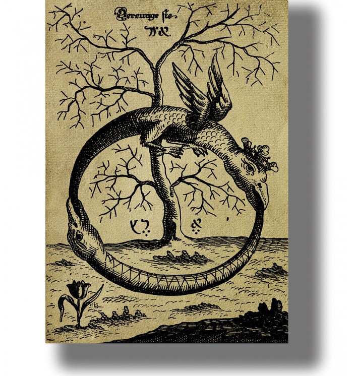 Vintage illustration of Ouroboros, the serpent eating its own tail, symbolizing eternity and cycles of nature.