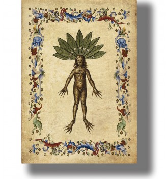 Human-shaped mandrake root with long fingers beneath a crown of green leaves, framed by medieval floral decoration.