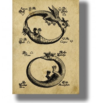 Antique alchemical illustration showing two ouroboros circles with winged serpents and old Hermetic symbols on aged paper.