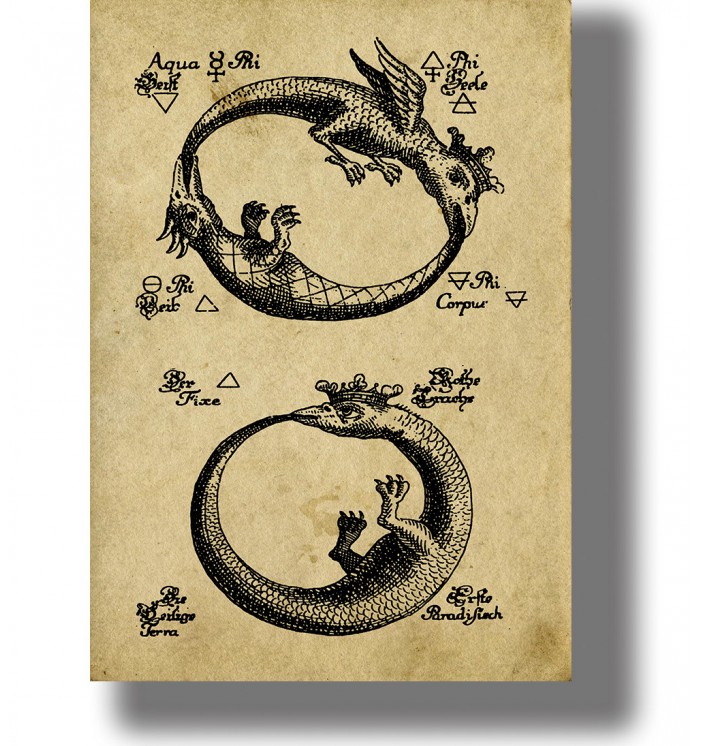 Antique alchemical illustration showing two ouroboros circles with winged serpents and old Hermetic symbols on aged paper.