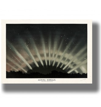 Vintage astronomy illustration of the Aurora Borealis spreading in bright rays over a dark horizon.