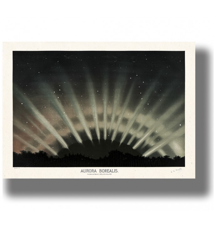 Vintage astronomy illustration of the Aurora Borealis spreading in bright rays over a dark horizon.