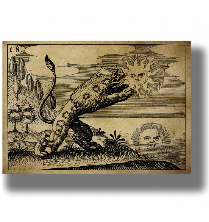 Antique alchemical illustration of a lion reaching toward a human-faced sun above a landscape.