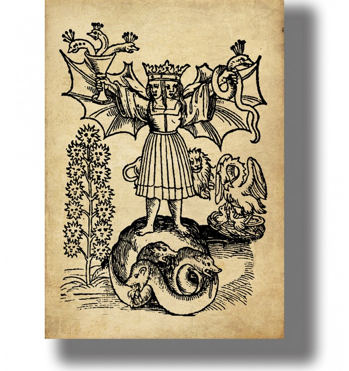Two-Headed Hermaphrodite - Alchemical Rebis Print