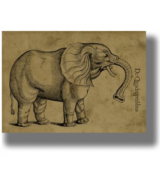 Vintage scientific illustration of an elephant with large ears, curved tusks and a raised trunk on an aged paper background