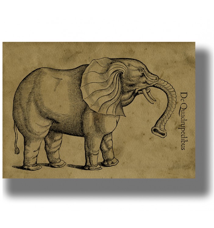 Vintage scientific illustration of an elephant with large ears, curved tusks and a raised trunk on an aged paper background