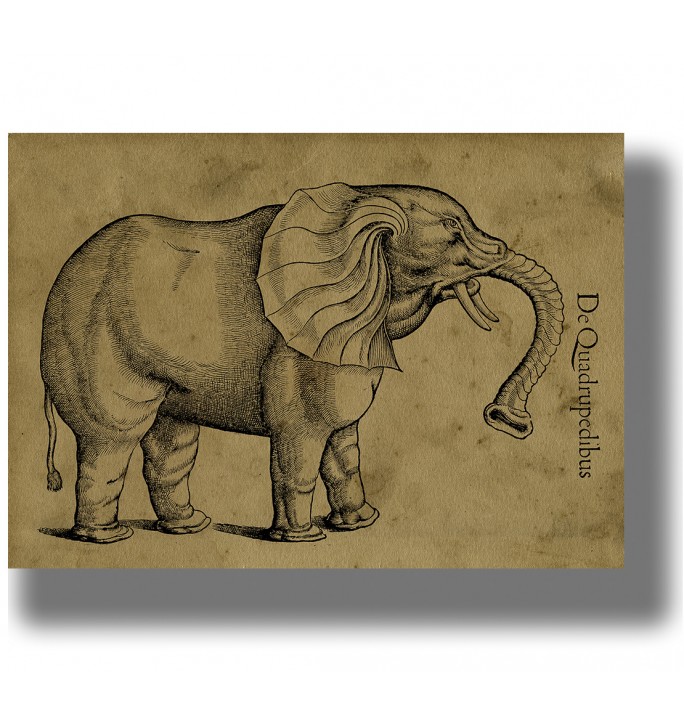 Vintage scientific illustration of an elephant with large ears, curved tusks and a raised trunk on an aged paper background