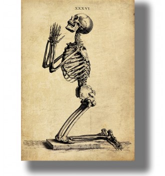Antique medical skeleton print showing a kneeling skeleton with hands raised, memento mori style wall art.