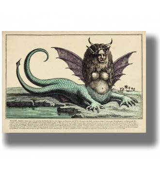 Vintage illustration of a harpy with wings, horns, claws and a long tail on a rocky shore