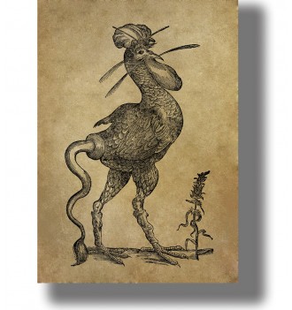 Vintage illustration of a strange basilisk with a bird-like head, feathered body, long legs and a curling serpent tail