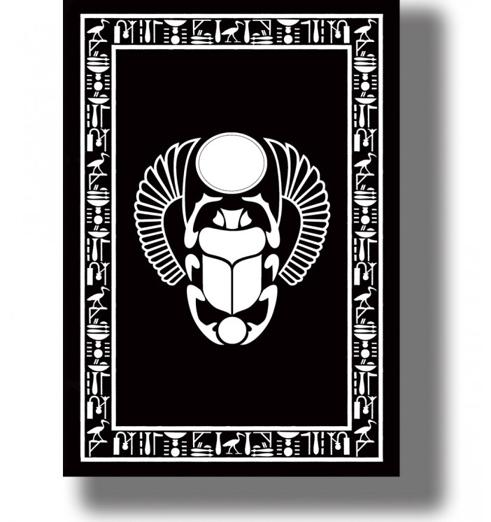 Stylized sacred Egyptian scarab with a solar disk, spread wings and a decorative border of ancient hieroglyphic symbols.