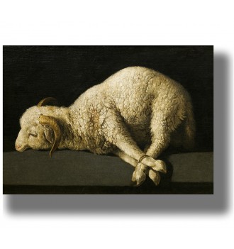 White lamb with curved horns lying on a dark table, legs tied with rope, dramatic black background.