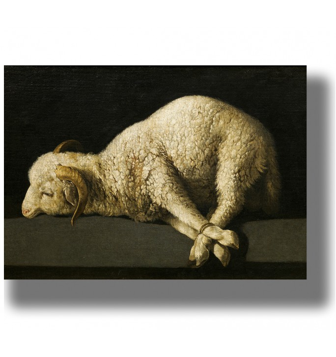 White lamb with curved horns lying on a dark table, legs tied with rope, dramatic black background.