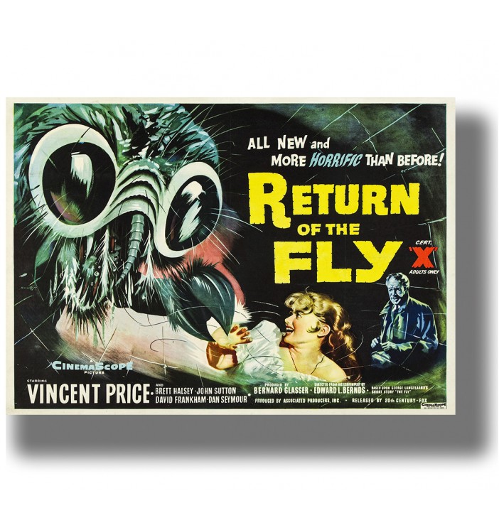 Vintage poster for Return of the Fly with a giant fly head, frightened woman, and yellow title text.