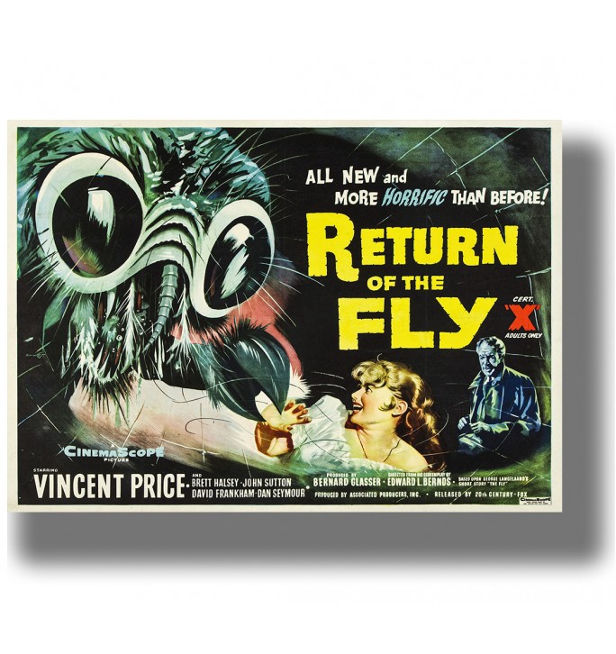 Vintage poster for Return of the Fly with a giant fly head, frightened woman, and yellow title text.