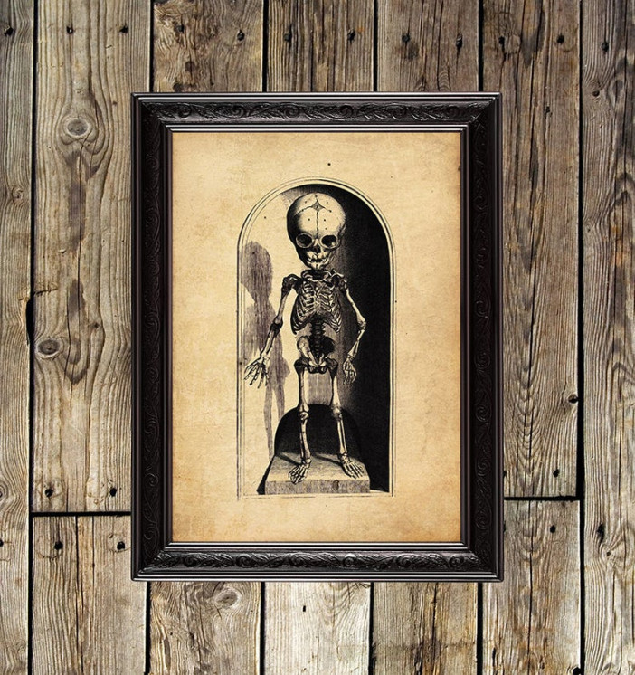 Skeleton Kid. Anatomical Art Print.