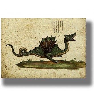 Antique-style illustration of a green dragon with wings on aged parchment background.