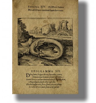 Vintage-style ouroboros illustration with a snake eating its tail, old engraved page layout, alchemy and esoteric wall decor