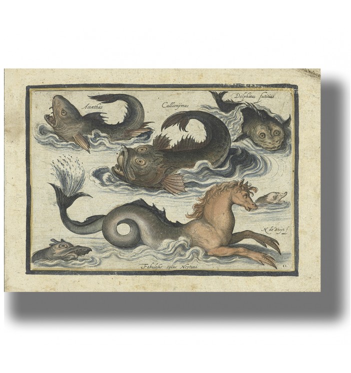 Antique illustration showing sea monsters, strange fish, and a mythical sea horse in the waves.
