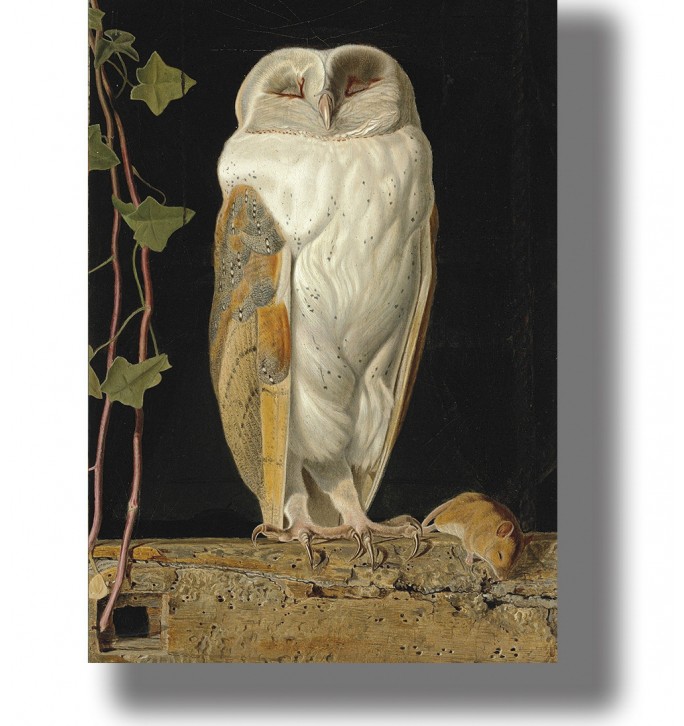 Victorian painting of a white owl standing on a wooden beam with a mouse nearby.